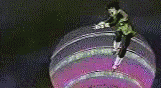 clip63.gif